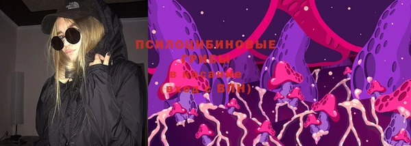 a pvp Алзамай