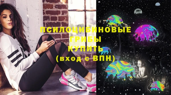 a pvp Алзамай