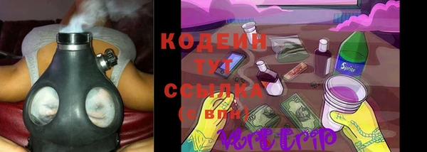 ПСИЛОЦИБИНОВЫЕ ГРИБЫ Алексин
