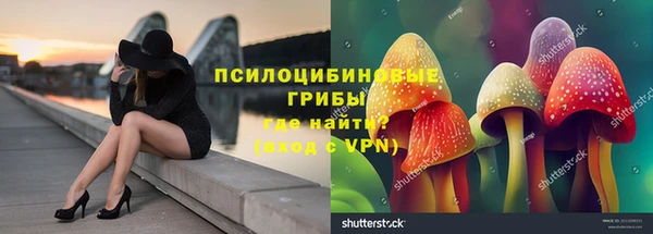 a pvp Алзамай