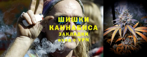 ПСИЛОЦИБИНОВЫЕ ГРИБЫ Алексин